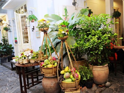 Tiêu đề banner