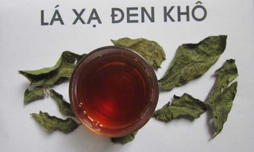 XẠ ĐEN - CHUYỆN KỂ LẠI ...